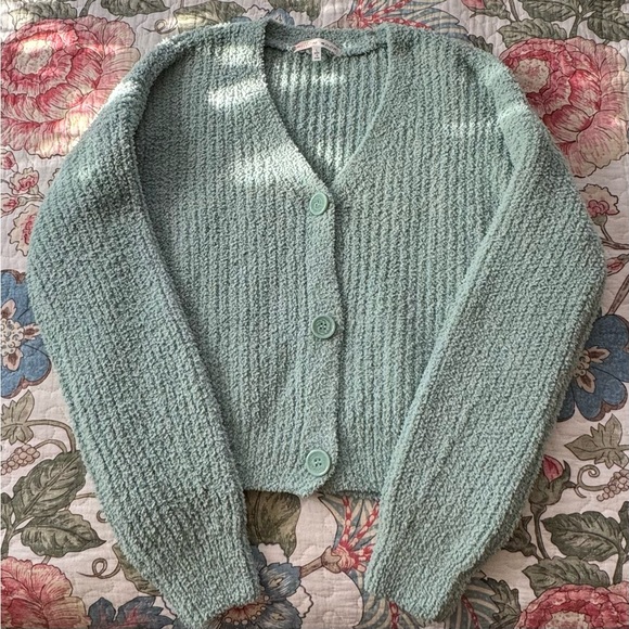 BEAUTIFUL NWOT Willow Moon Cozy V-Neck Button Down Cardigan Sweater - Picture 1 of 5